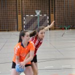 2017_01_08 Landesliga Frauen u. J19